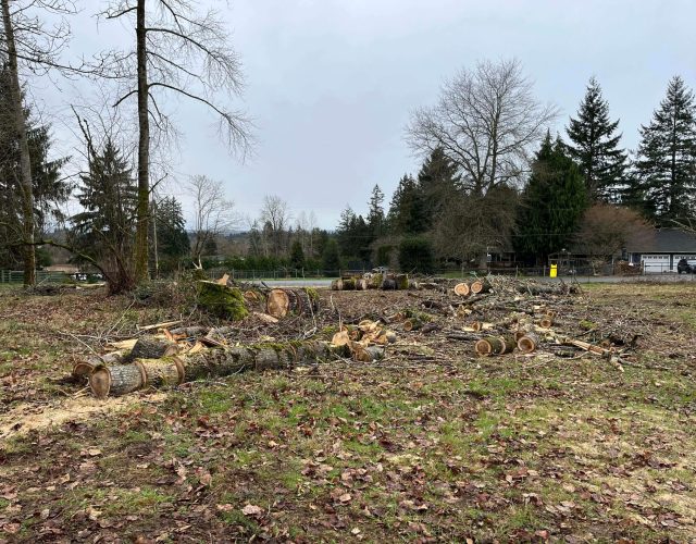 tree-removal